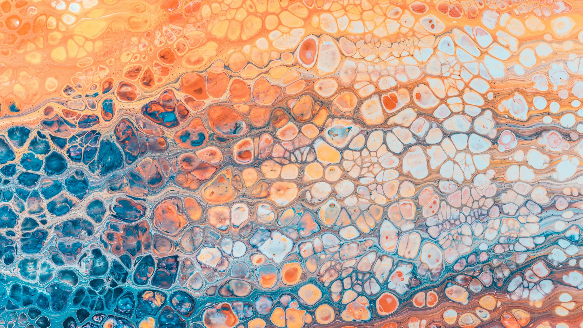 Contact Noel Travel Tours